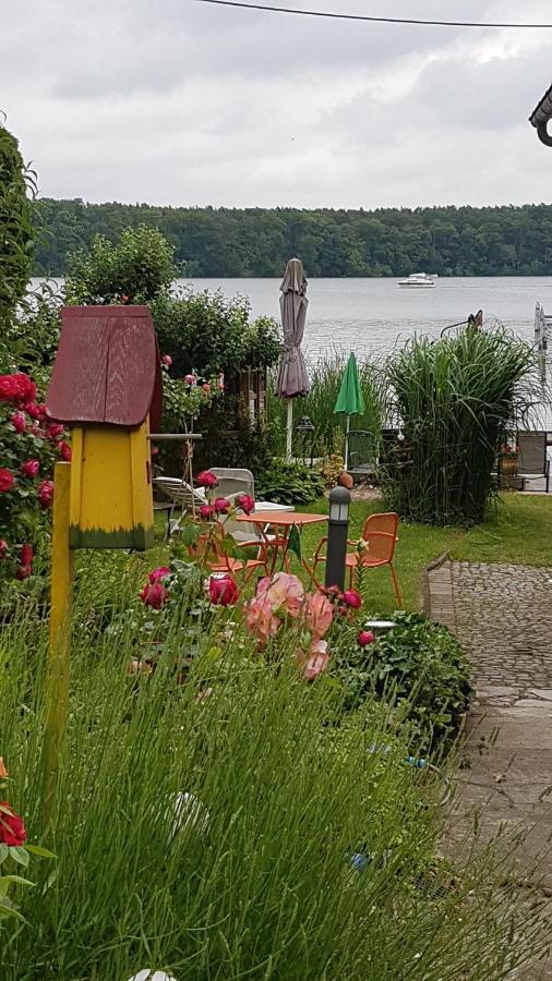 Zeuthen Ferienwohnung Am See, Stadtgrenze Berlin Eksteriør bilde
